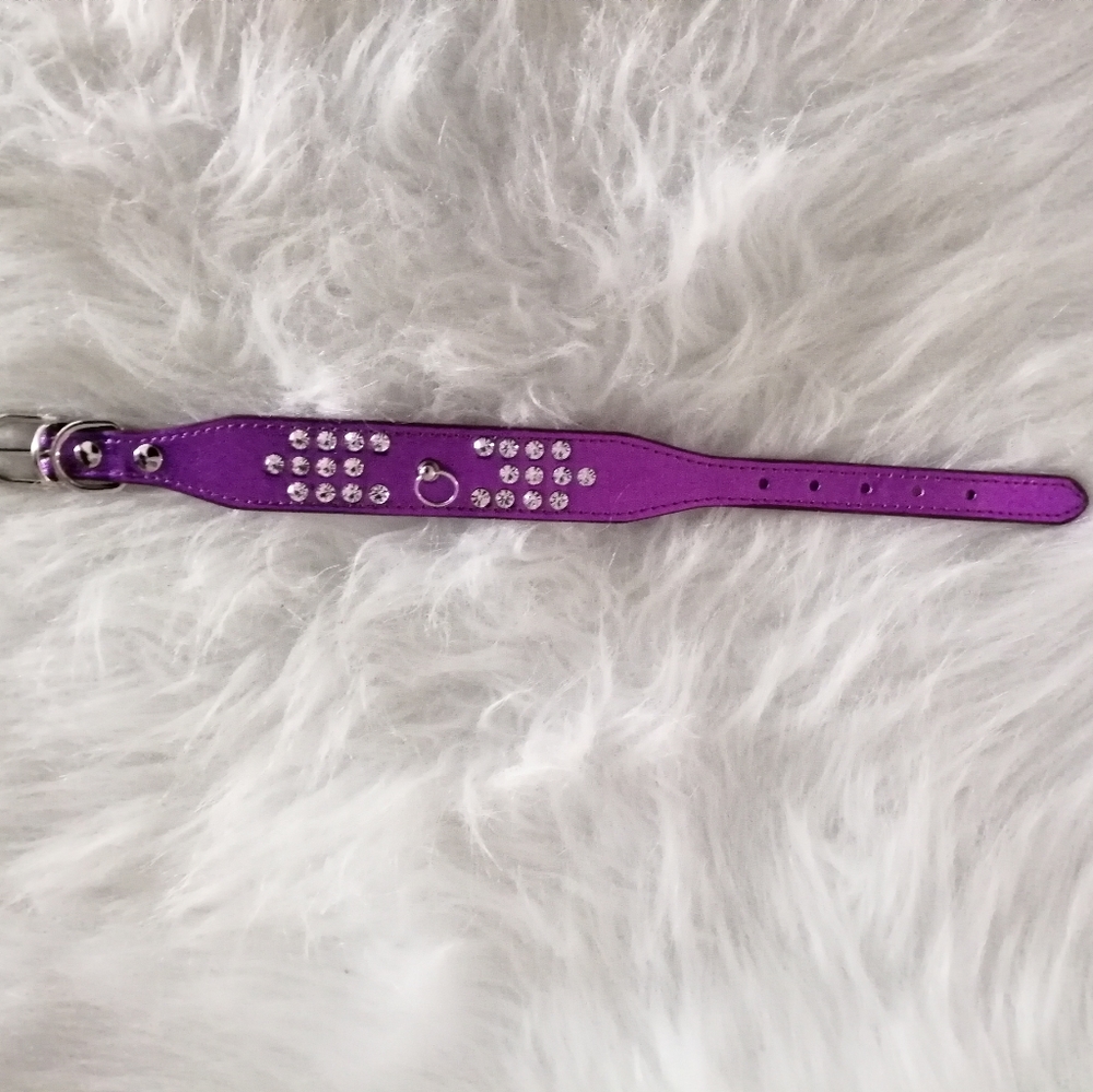 Dog collar